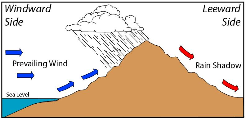 Rain Shadow